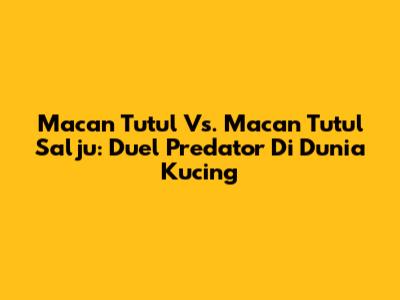 Macan Tutul Vs. Macan Tutul Salju: Duel Predator Di Dunia Kucing