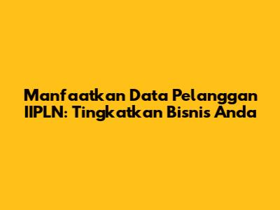 Manfaatkan Data Pelanggan IIPLN: Tingkatkan Bisnis Anda