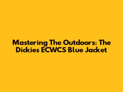 Mastering The Outdoors: The Dickies ECWCS Blue Jacket