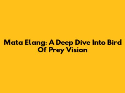 Mata Elang: A Deep Dive Into Bird Of Prey Vision