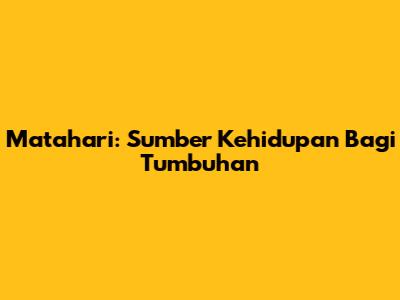 Matahari: Sumber Kehidupan Bagi Tumbuhan