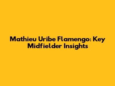 Mathieu Uribe Flamengo: Key Midfielder Insights