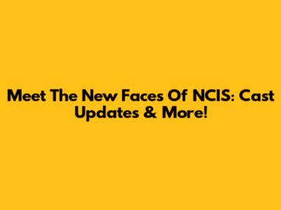 Meet The New Faces Of NCIS: Cast Updates & More!