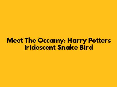 Meet The Occamy: Harry Potter's Iridescent Snake Bird