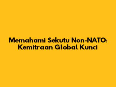 Memahami Sekutu Non-NATO: Kemitraan Global Kunci