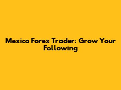 Mexico Forex Trader: Grow Your Following