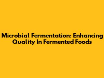 Microbial Fermentation: Enhancing Quality In Fermented Foods