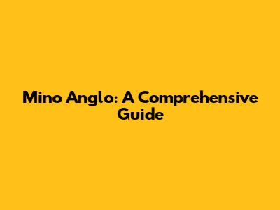 Mino Anglo: A Comprehensive Guide