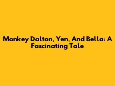 Monkey Dalton, Yen, And Bella: A Fascinating Tale