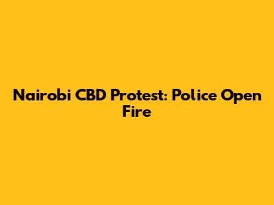 Nairobi CBD Protest: Police Open Fire