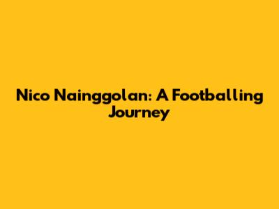 Nico Nainggolan: A Footballing Journey