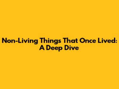 Non-Living Things That Once Lived: A Deep Dive