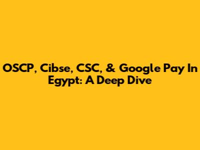 OSCP, Cibse, CSC, & Google Pay In Egypt: A Deep Dive
