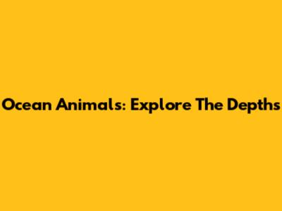 Ocean Animals: Explore The Depths
