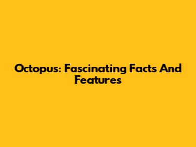 Octopus: Fascinating Facts And Features