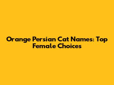 Orange Persian Cat Names: Top Female Choices