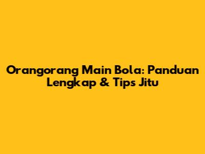 Orangorang Main Bola: Panduan Lengkap & Tips Jitu