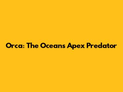 Orca: The Ocean's Apex Predator