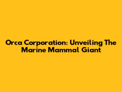 Orca Corporation: Unveiling The Marine Mammal Giant