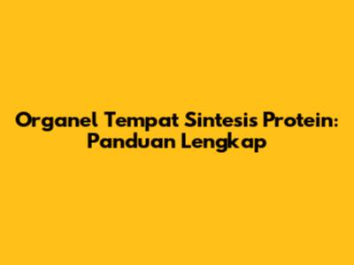 Organel Tempat Sintesis Protein: Panduan Lengkap