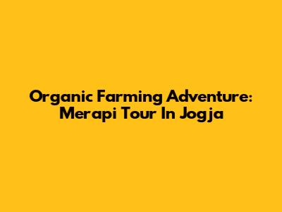 Organic Farming Adventure: Merapi Tour In Jogja