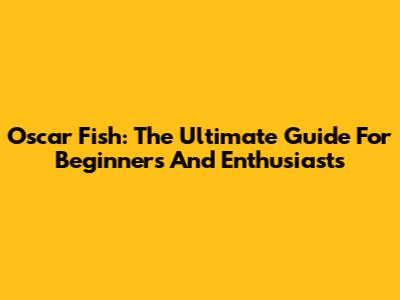 Oscar Fish: The Ultimate Guide For Beginners And Enthusiasts