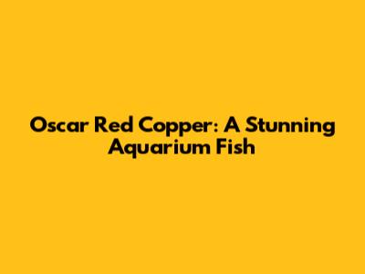 Oscar Red Copper: A Stunning Aquarium Fish