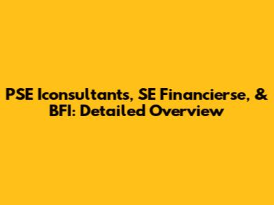 PSE Iconsultants, SE Financierse, & BFI: Detailed Overview