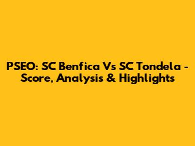 PSEO: SC Benfica Vs SC Tondela - Score, Analysis & Highlights