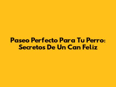 Paseo Perfecto Para Tu Perro: Secretos De Un Can Feliz
