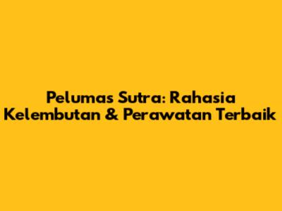 Pelumas Sutra: Rahasia Kelembutan & Perawatan Terbaik