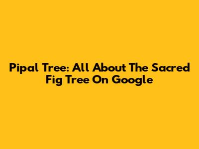 Pipal Tree: All About The Sacred Fig Tree On Google
