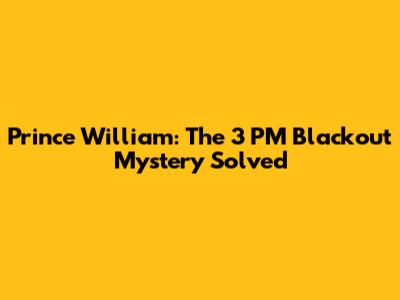 Prince William: The 3 PM Blackout Mystery Solved