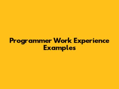 Programmer Work Experience Examples