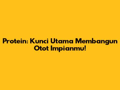 Protein: Kunci Utama Membangun Otot Impianmu!