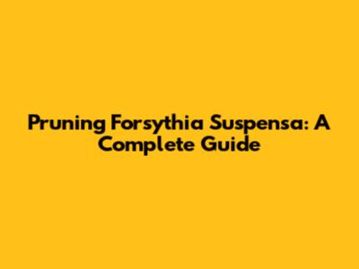 Pruning Forsythia Suspensa: A Complete Guide