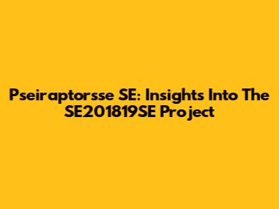 Pseiraptorsse SE: Insights Into The SE201819SE Project