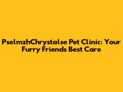 PselmzhChrystalse Pet Clinic: Your Furry Friend's Best Care