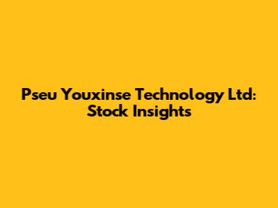 Pseu Youxinse Technology Ltd: Stock Insights