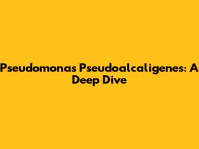 Pseudomonas Pseudoalcaligenes: A Deep Dive