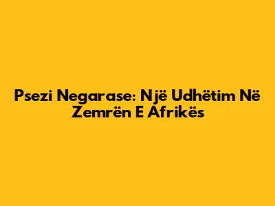Psezi Negarase: Një Udhëtim Në Zemrën E Afrikës
