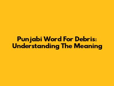 Punjabi Word For Debris: Understanding The Meaning