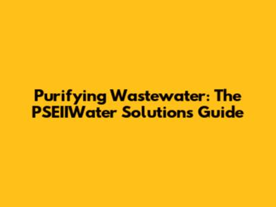 Purifying Wastewater: The PSEIIWater Solutions Guide