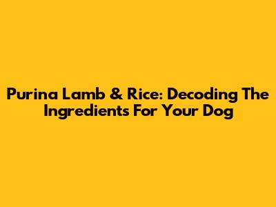 Purina Lamb & Rice: Decoding The Ingredients For Your Dog