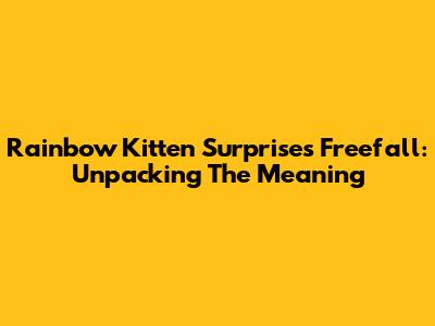 Rainbow Kitten Surprise's 'Freefall': Unpacking The Meaning