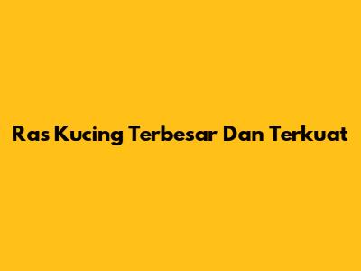 Ras Kucing Terbesar Dan Terkuat