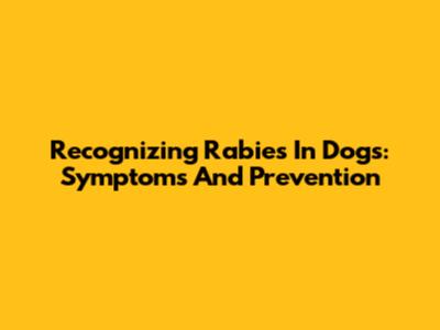 Recognizing Rabies In Dogs: Symptoms And Prevention