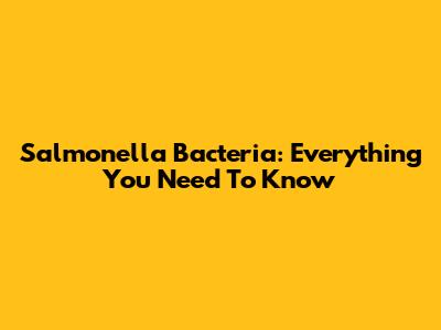 Salmonella Bacteria: Everything You Need To Know