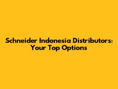 Schneider Indonesia Distributors: Your Top Options