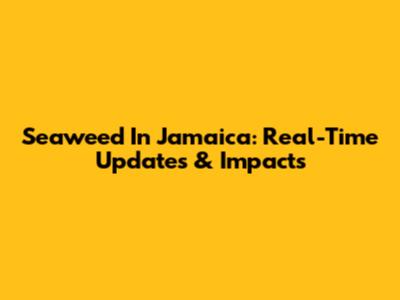Seaweed In Jamaica: Real-Time Updates & Impacts